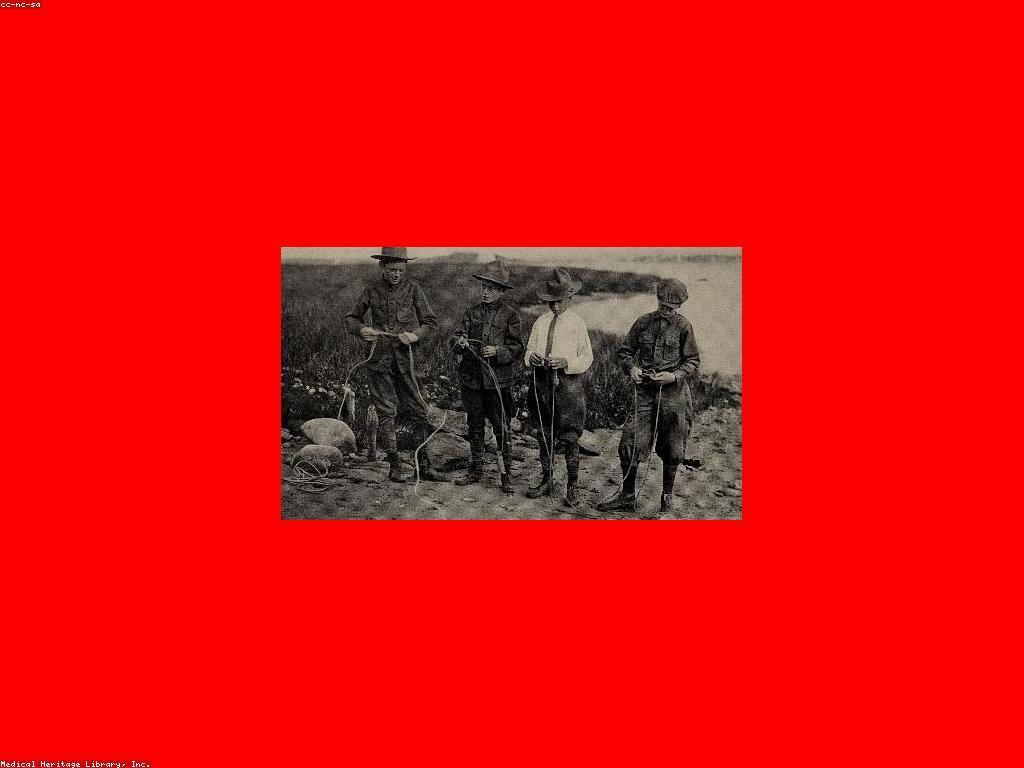 ការយល់ដឹងអំពីវិច្ឆេនស្លត