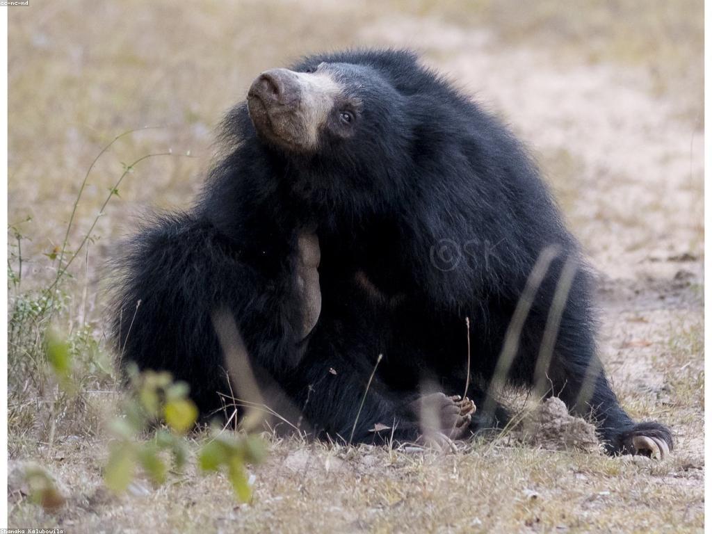 សារៈសំខាន់នៃសំគាល់ស្លតក្នុងជីវិតប្រចាំថ្ងៃ