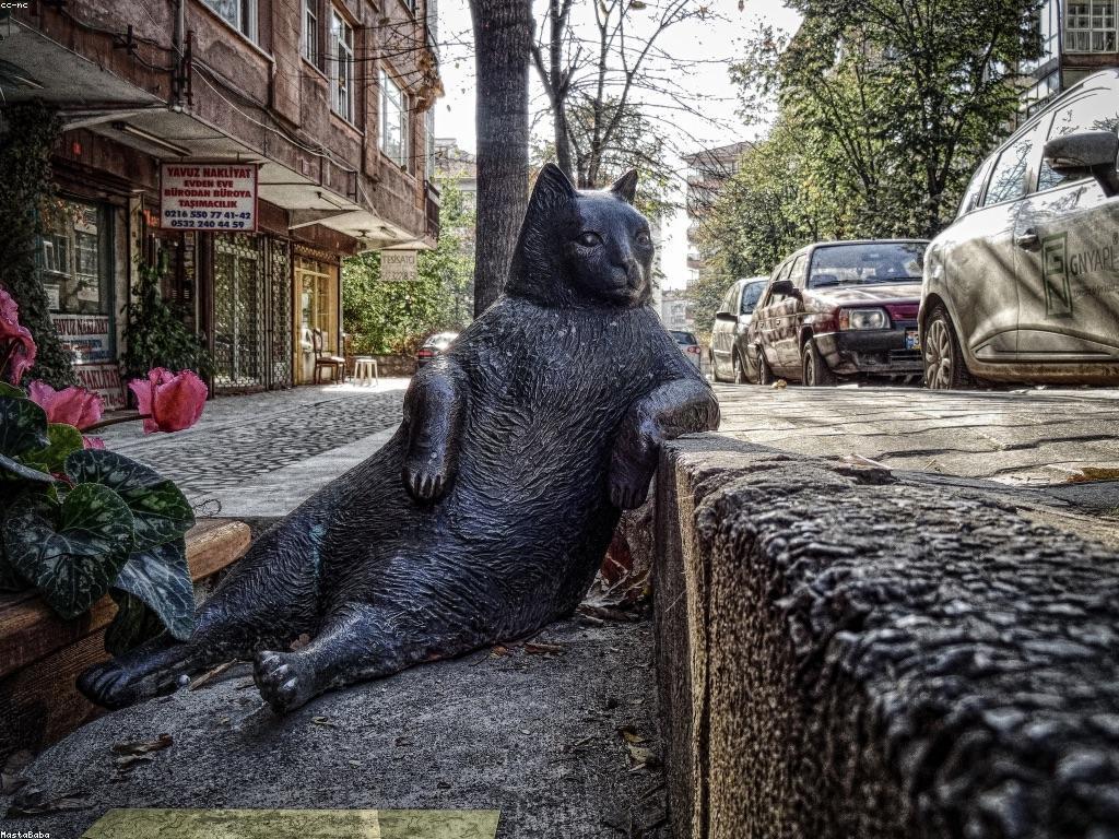 សំគាល់ស្លត: តើវាមានអ្វីខ្លះដែលអ្នកត្រូវបានដឹង?