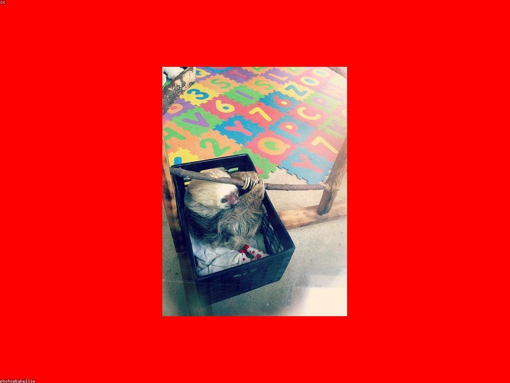 សារៈសំខាន់នៃសំគាល់ស្លតក្នុងជីវិតប្រចាំថ្ងៃ