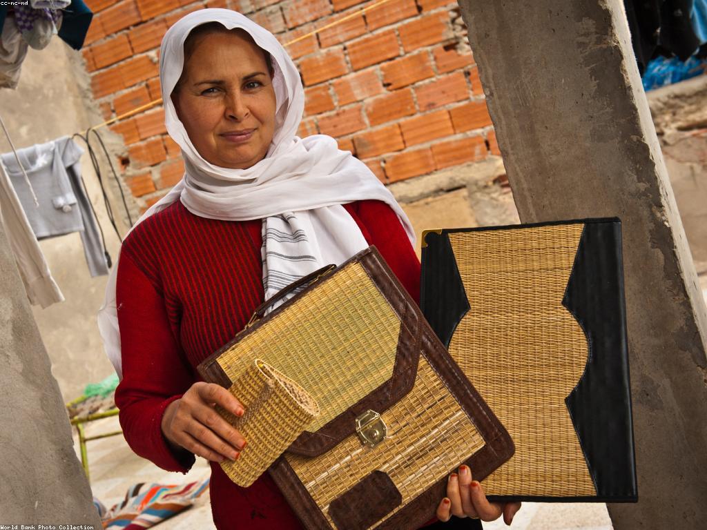 វិធីសាស្ត្រដើម្បីជោគជ័យក្នុងការប្រកួតអាជីព