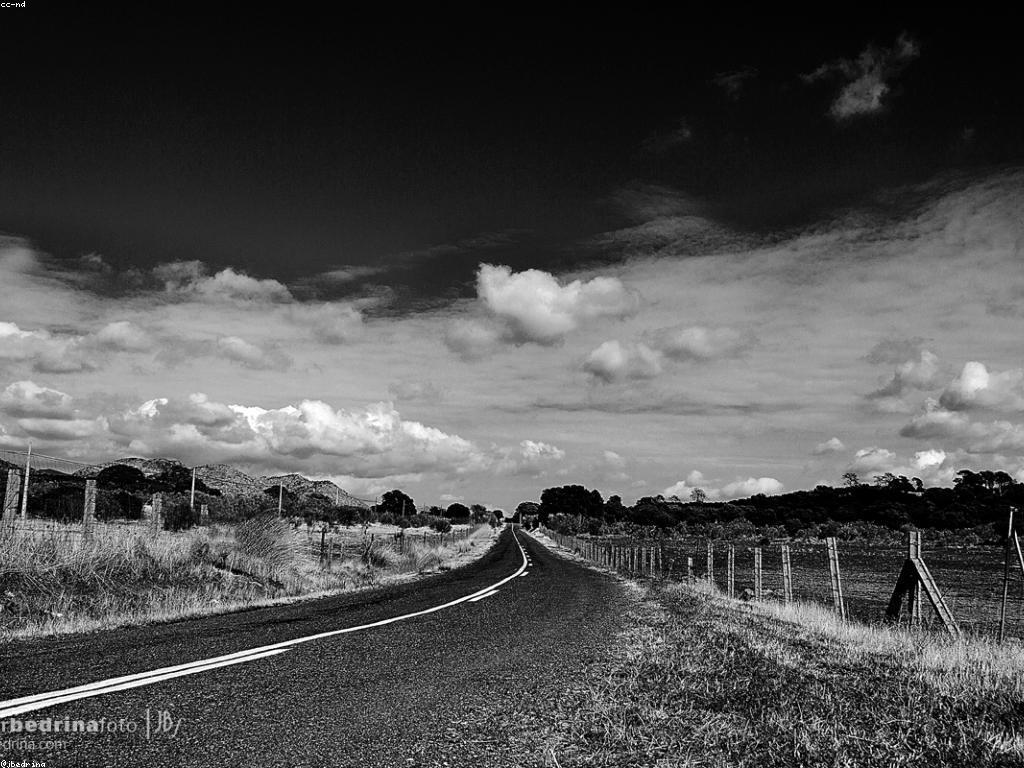 ការប្រកួតអាជីពក្នុងឧស្សាហកម្ម slot: យុទ្ធសាស្ត្រនិងឱកាស